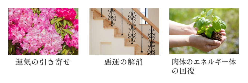 運気の引き寄せ、悪運の解消、肉体のエネルギー体の回復